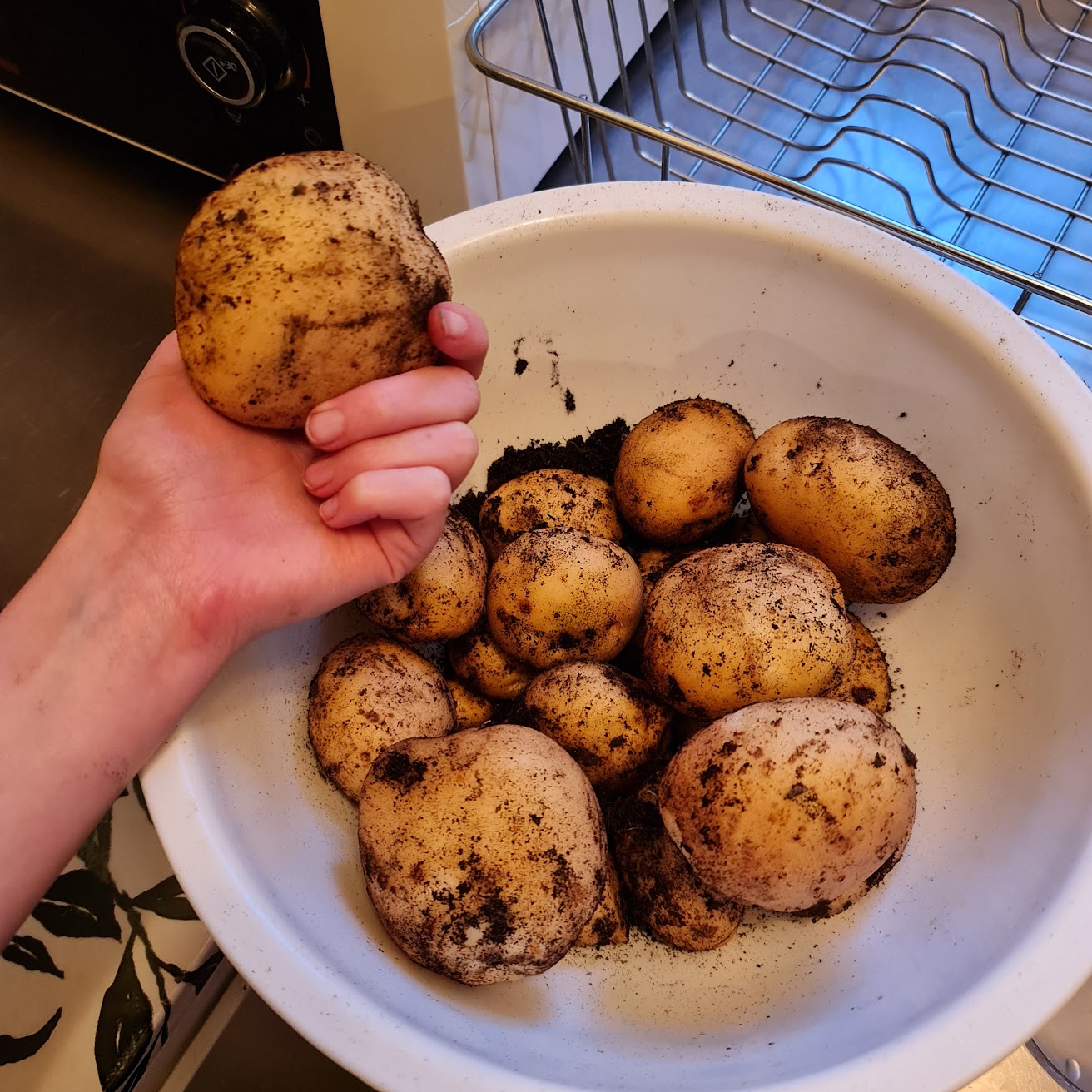A hand holding a dirty potato. Below is a bowl with more potatoes.