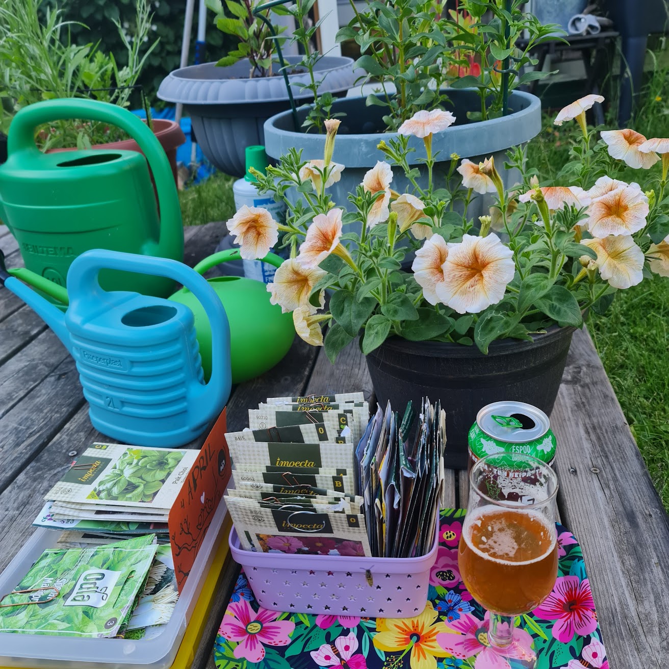 A tray of seed packets next to a glass of beer. Several plant pots and watering cans are in the background.
