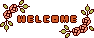 Welcome!